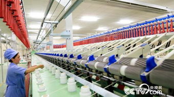 中塔合建纺织产业园 织 出丝路新生活
